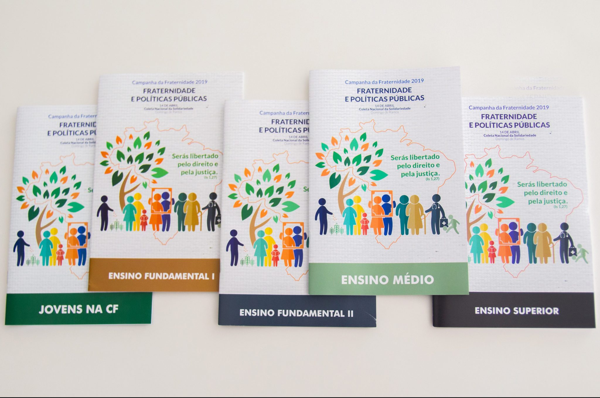 campanha da fraternidade cnbb 2019