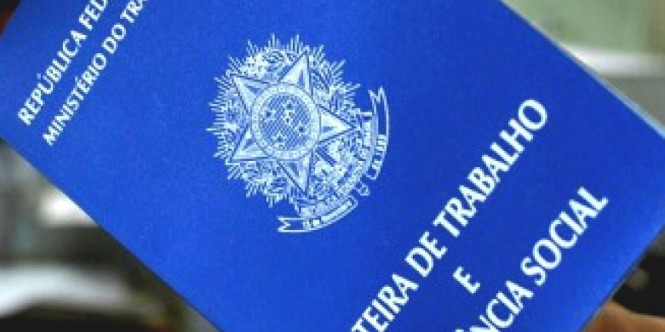 carteira de trabalho 02