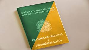 carteira verde amarela