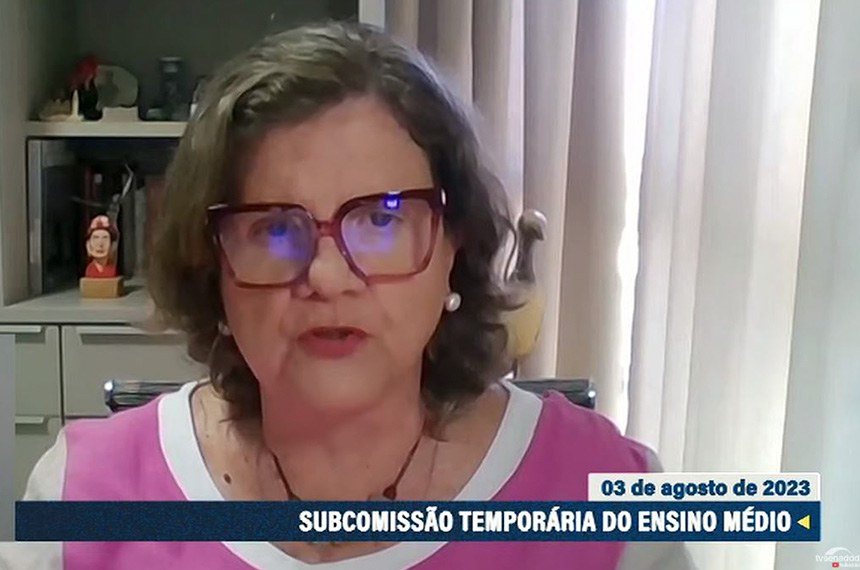 teresa leitao subcomissao nem senado