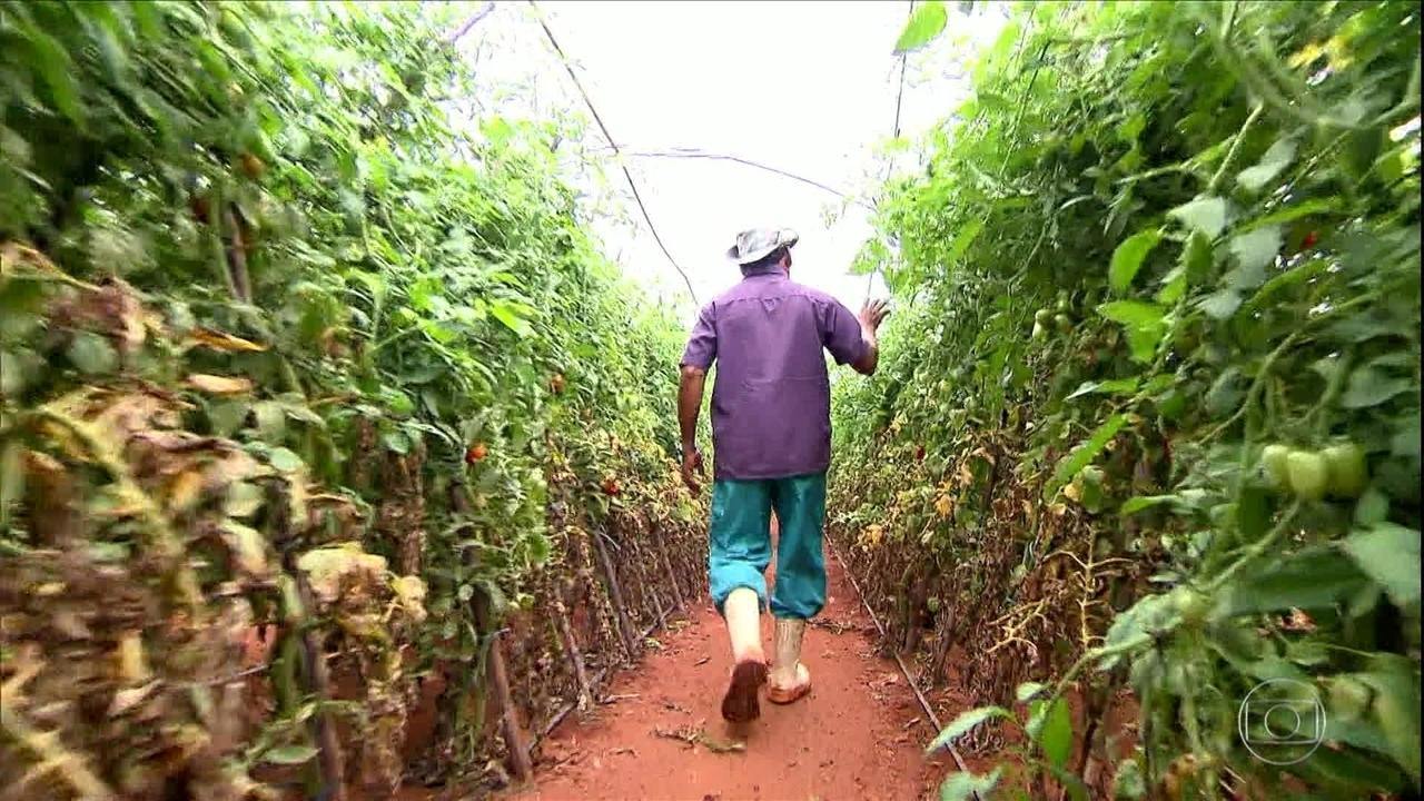 trabalhador rural aposentadoria