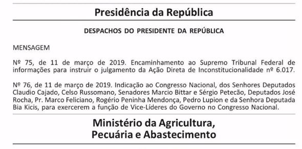 vice lideres governo congresso